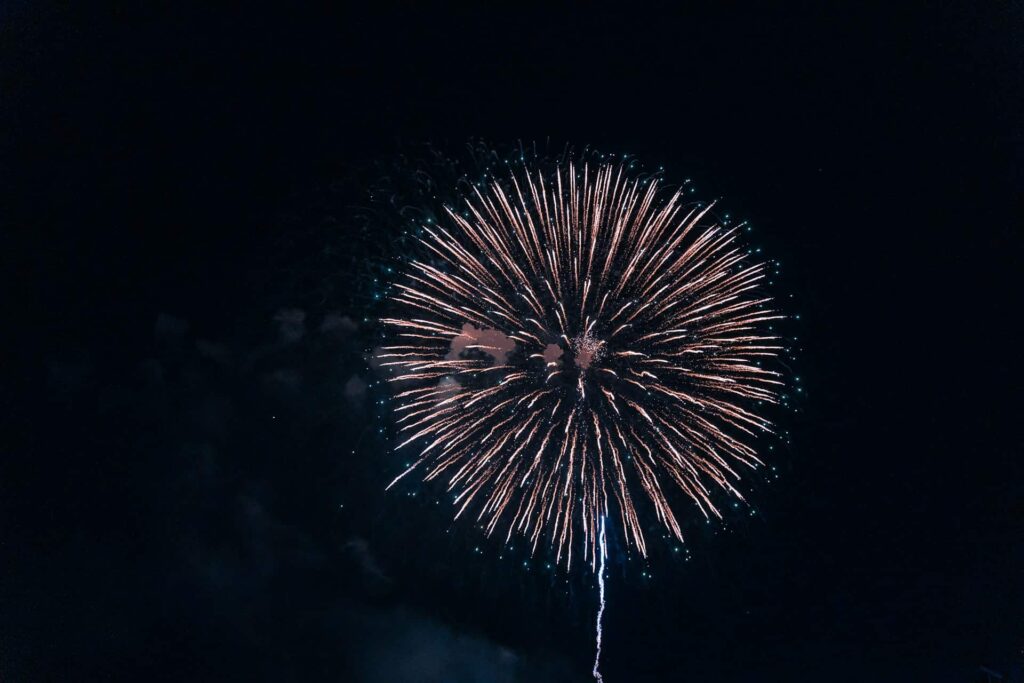 fireworks in night sky